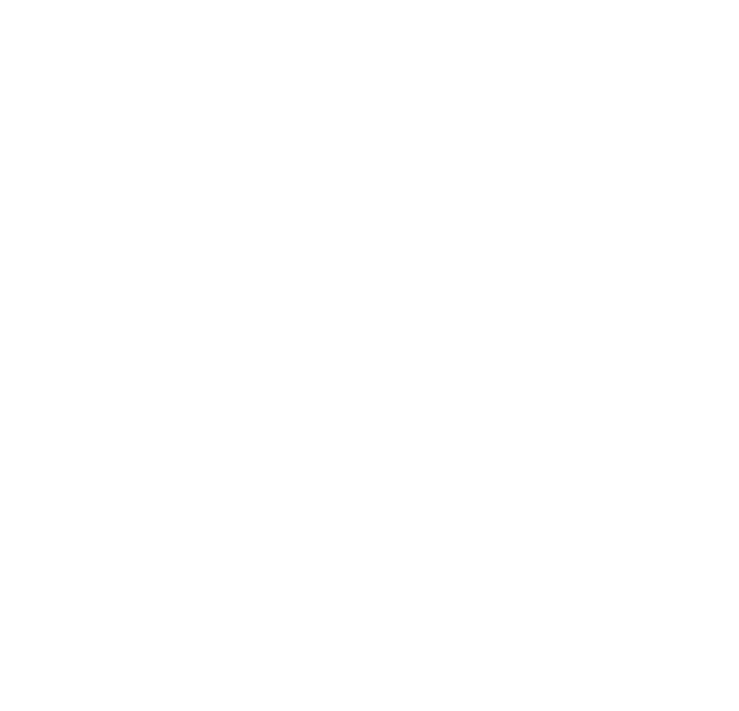 white virginia opioid abatement foundation logo